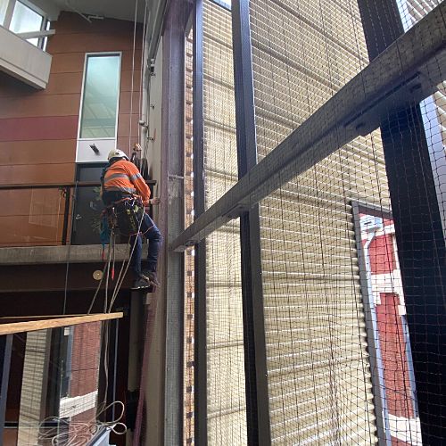 Rope Access Team Bird-Proof a Brisbane Building